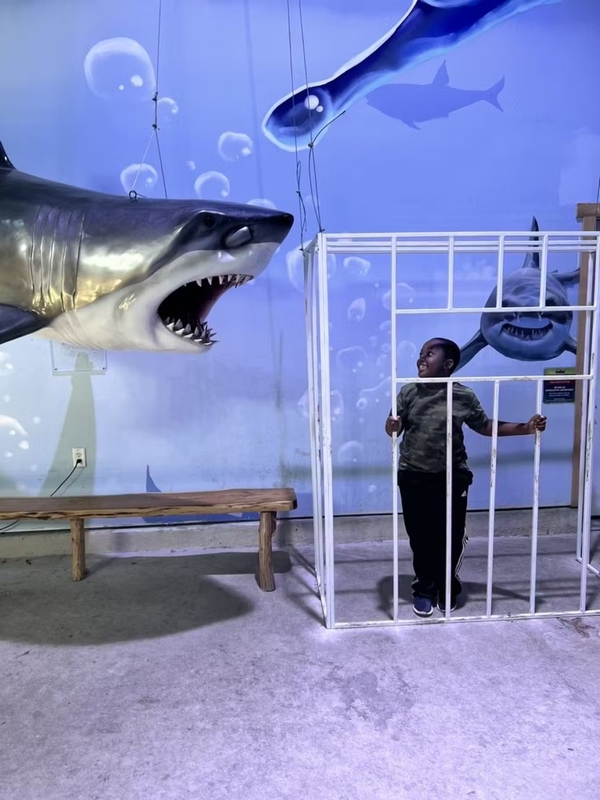 Houston Interactive Aquarium and Animal Preserve Image #8 Houston Interactive Aquarium and Animal Preserve Image #8