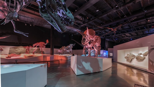 Houston Museum of Natural Science Image #7 Houston Museum of Natural Science Image #7