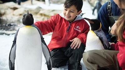 SeaWorld San Antonio Image #3