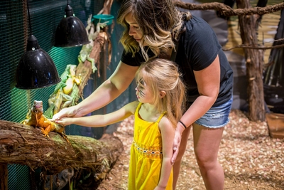 Austin Aquarium Image #3
