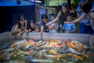 Austin Aquarium Image #4